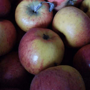 Apples -  Worcester Pearmain - Vegetropolis Organic Fruit and Veg Delivery Service