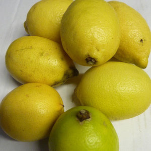 Lemons - Vegetropolis Organic Fruit and Veg Delivery Service