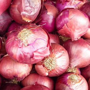 Onion, Red - Vegetropolis Organic Fruit and Veg Delivery Service