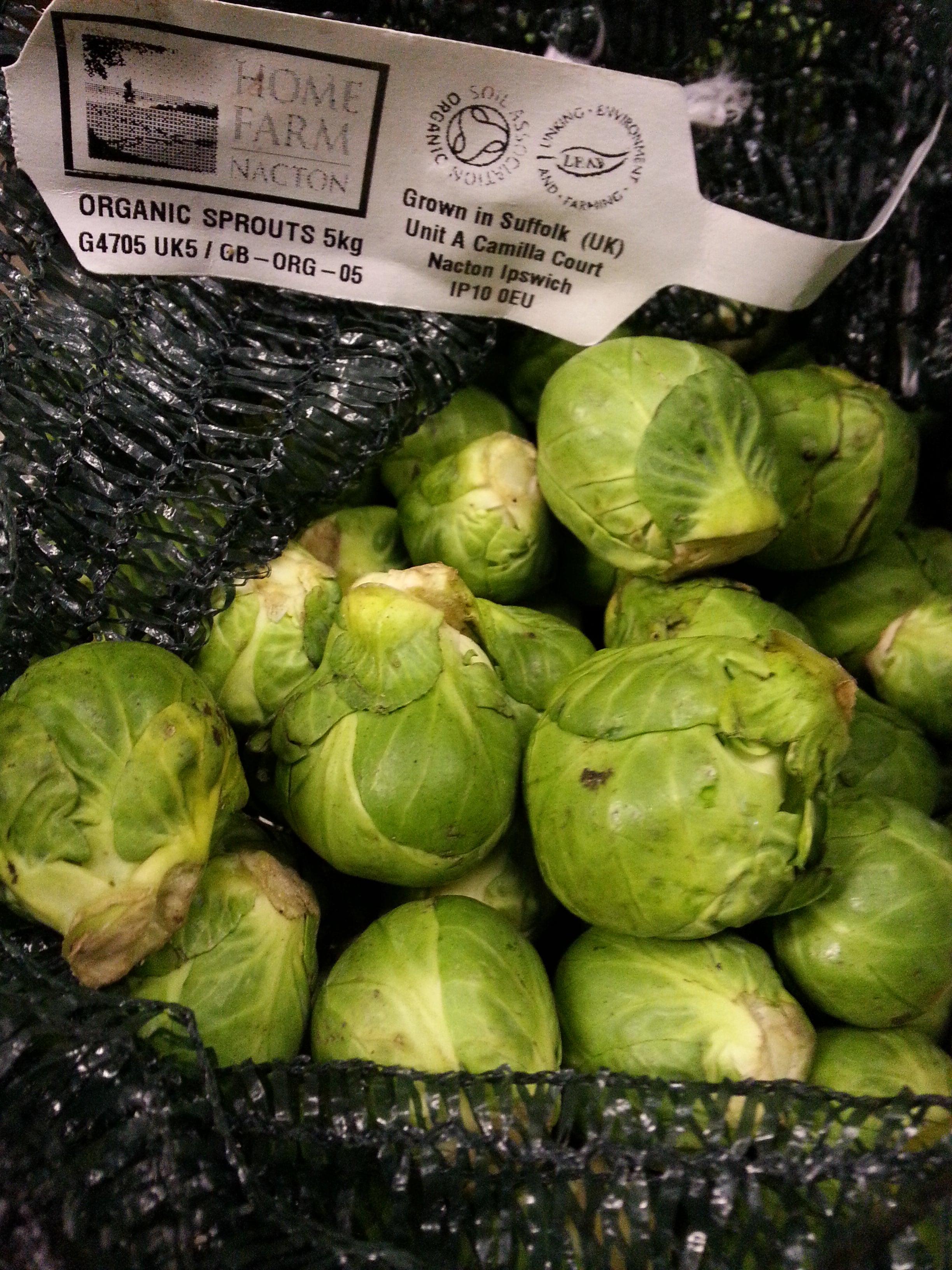 Sprouts Brussels in stock at Vegetropolis, Birmingham. Organic Veg